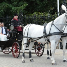 Mersea Island Horse Drawn Wedding Carriages