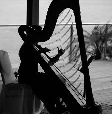 The Wedding Harpist